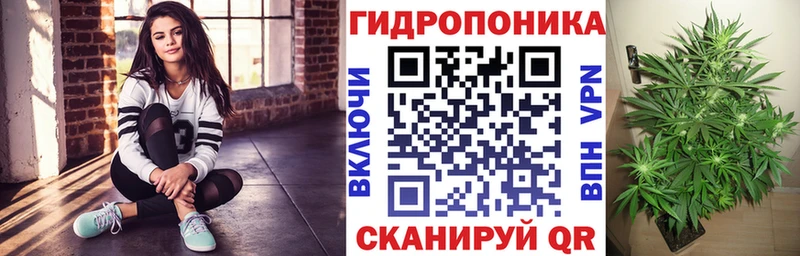 это клад  Отрадная  Бошки марихуана марихуана 